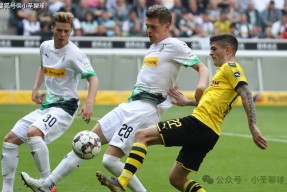 门兴格拉德巴赫迎西甲关键赛，今晨篮板制胜，球迷炸锅，赛程密集仍需轮换的简单介绍爱游戏体育官网